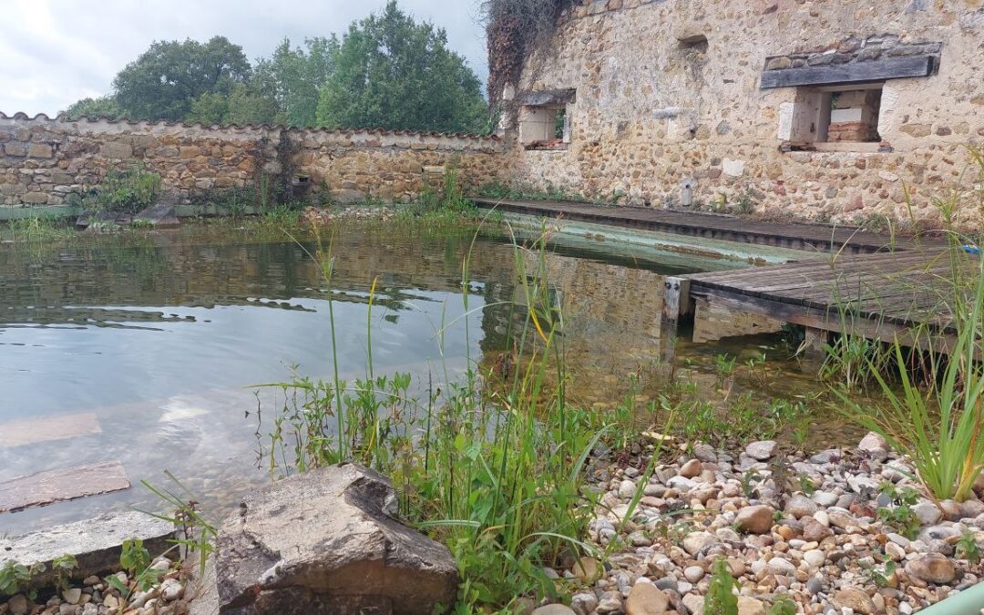 Vom Überleben ins Spüren